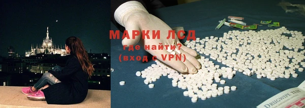дживик Болотное