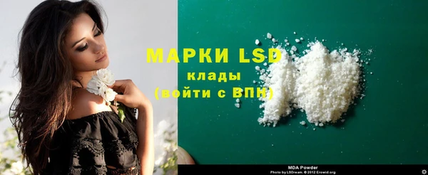 дживик Болотное