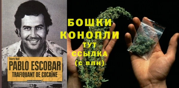 дживик Болотное