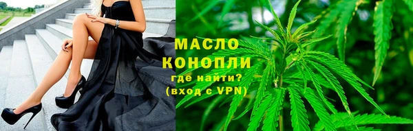 дживик Болотное