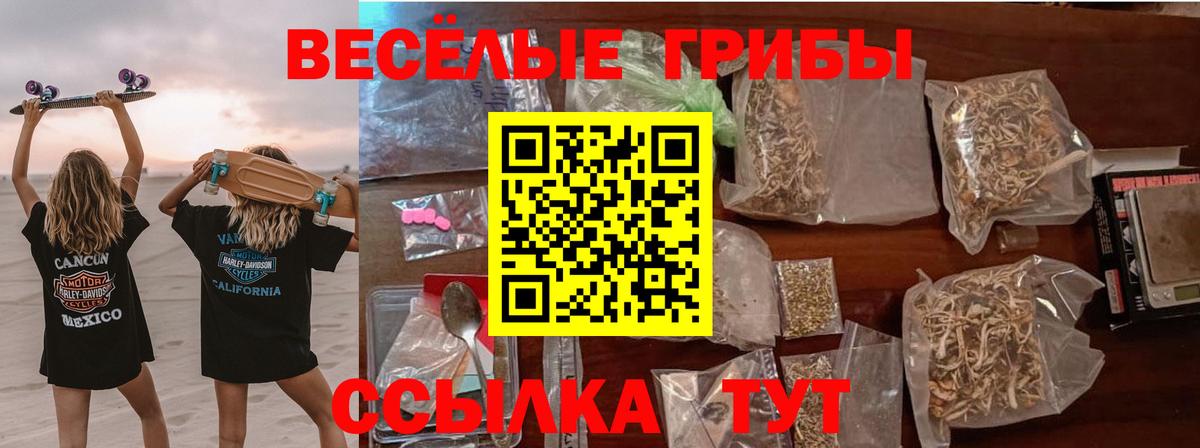 Выкса  Галлюциногенные грибы Psilocybe  Псилоцибиновые грибы MAGIC MUSHROOMS  где продают наркотики  Вход с VPN 